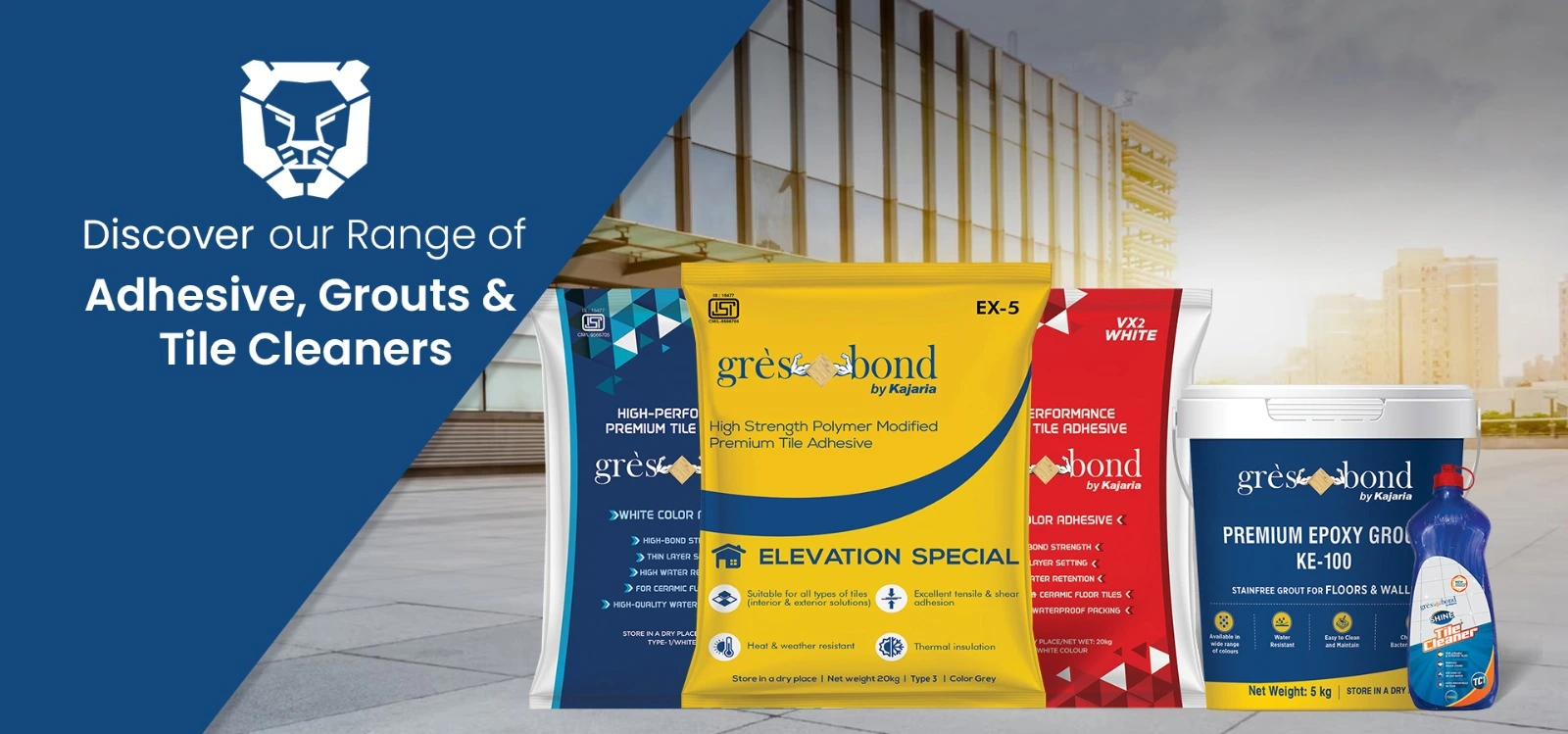 Discover Our Range of Adhesive, Grouts & Tile Cleaner